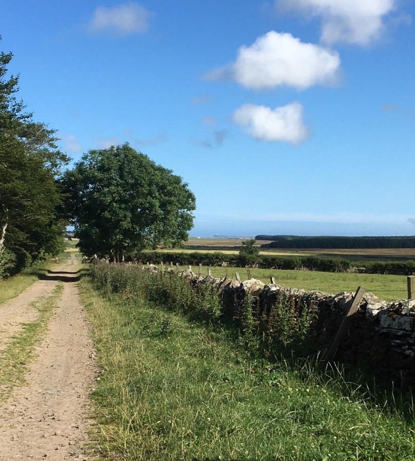 Caithness View Luxury Farm Lodges And Bbq Huts Wick  Exterior foto