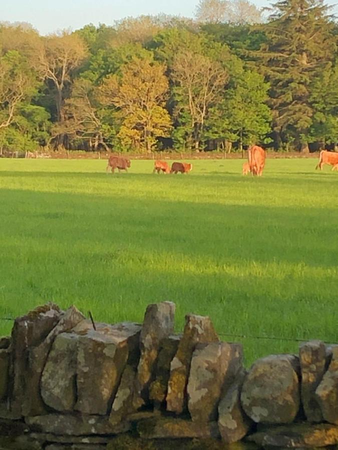 Caithness View Luxury Farm Lodges And Bbq Huts Wick  Exterior foto